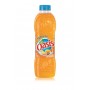 OASIS TROPICAL PET 1L X06